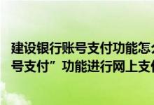 建设银行账号支付功能怎么开通 建设银行：我如何使用“账号支付”功能进行网上支付