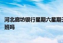 河北廊坊银行星期六星期天上班吗 廊坊银行星期六星期天上班吗