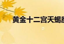 黄金十二宫天蝎座（黄金十二宫顺序）