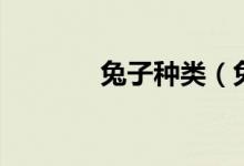 兔子种类（兔子种类有什么）