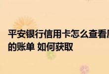 平安银行信用卡怎么查看历史账单 想要查看平安银行信用卡的账单 如何获取