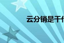 云分销是干什么的（云分期）