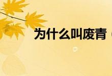 为什么叫废青（废青是什么意思）