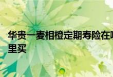 华贵一麦相橙定期寿险在哪里买 华贵一麦相橙定期寿险在哪里买