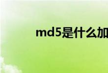 md5是什么加密（md5是什么）