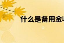 什么是备用金收入 什么是备用金