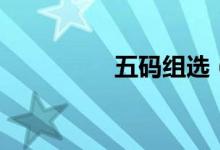 五码组选（五码是多大）