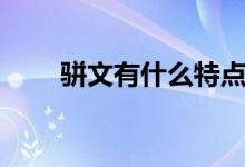 骈文有什么特点（骈文有什么特点）
