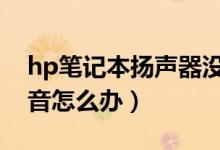 hp笔记本扬声器没声音（笔记本扬声器没声音怎么办）