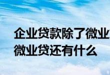 企业贷款除了微业贷还有什么 企业贷款除了微业贷还有什么