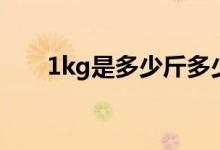 1kg是多少斤多少两（1kg是多少斤）