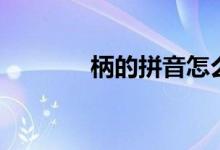 柄的拼音怎么写（柄的拼音）