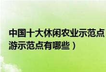 中国十大休闲农业示范点（全国休闲农业示范区盘点乡村旅游示范点有哪些）