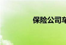 保险公司车险查询小方法