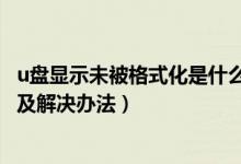 u盘显示未被格式化是什么意思（U盘显示未被格式化的原因及解决办法）