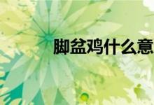 脚盆鸡什么意思（jpj什么意思）