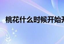 桃花什么时候开始开花（桃花什么时候开）