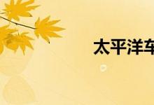 太平洋车险查询系统