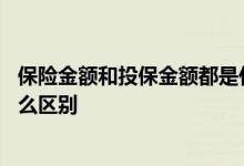 保险金额和投保金额都是什么意思 投保金额和保险金额有什么区别
