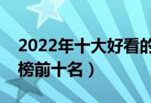 2022年十大好看的网游小说（网游小说排行榜前十名）