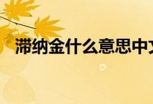 滞纳金什么意思中文翻译 滞纳金什么意思