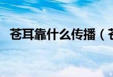 苍耳靠什么传播（苍耳靠什么传播种子的）