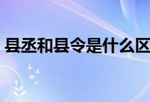 县丞和县令是什么区别（县丞和县令的区别）