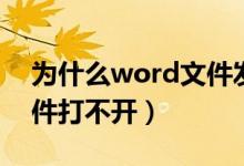 为什么word文件发送失败（为什么word文件打不开）
