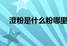 澄粉是什么粉哪里有卖（澄粉是什么粉）