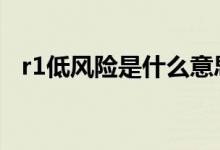 r1低风险是什么意思 r1风险代表什么意思