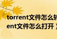 torrent文件怎么转换成阿里云盘视频（torrent文件怎么打开）