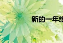 新的一年给自己一份礼物