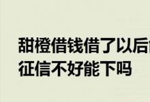 甜橙借钱借了以后能再申请提额吗 甜橙借钱征信不好能下吗