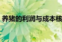 养猪的利润与成本核算（养猪的利润与成本）