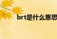 brt是什么意思（brt是什么意思）
