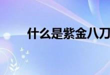 什么是紫金八刀汤（什么是紫金砂）