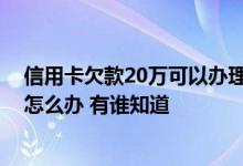 信用卡欠款20万可以办理分期么 信用卡欠款20万还不起了怎么办 有谁知道