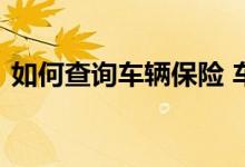 如何查询车辆保险 车辆保险查询方法有哪些