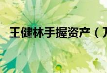 王健林手握资产（万达王健林是谁的女婿）