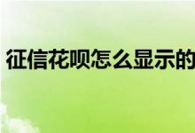 征信花呗怎么显示的 花呗用了 征信显示什么