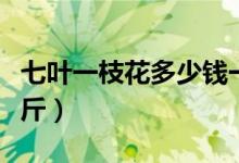 七叶一枝花多少钱一盆（七叶一枝花多少钱一斤）