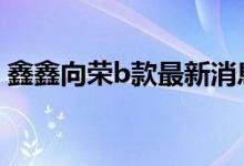 鑫鑫向荣b款最新消息 鑫鑫向荣b款有风险吗