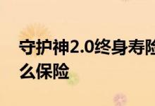 守护神2.0终身寿险 守护神2 0终身寿险是什么保险