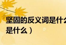 坚固的反义词是什么最佳答案（坚固的反义词是什么）