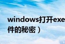 windows打开exe程序（windows下EXE文件的秘密）
