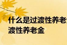 什么是过渡性养老金和过渡性补贴 什么是过渡性养老金