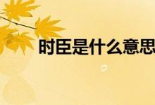 时臣是什么意思（时臣是什么意思）