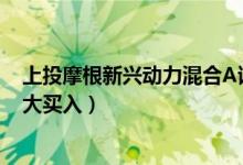 上投摩根新兴动力混合A该基金赚钱吗（全部基金有什么重大买入）
