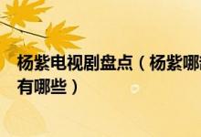杨紫电视剧盘点（杨紫哪部电视剧最好看杨紫主演的电视剧有哪些）