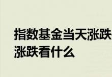 指数基金当天涨跌是什么意思 指数基金当天涨跌看什么